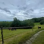 Troníček Penzion Kamenny Privoz
