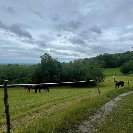 Tronicek Pensjonat Kamenny Privoz