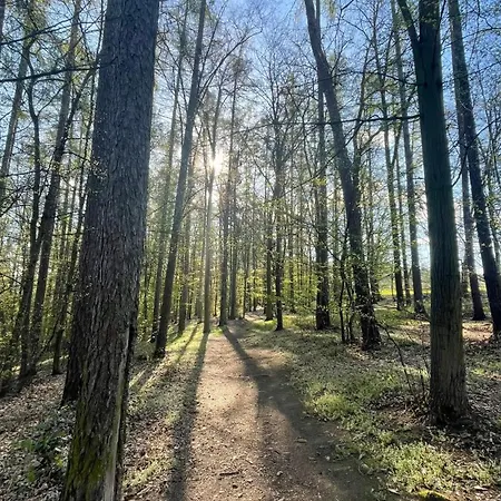 Tronicek Pensjonat 3*