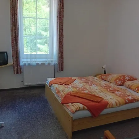 בית הארחה Tronicek 3*