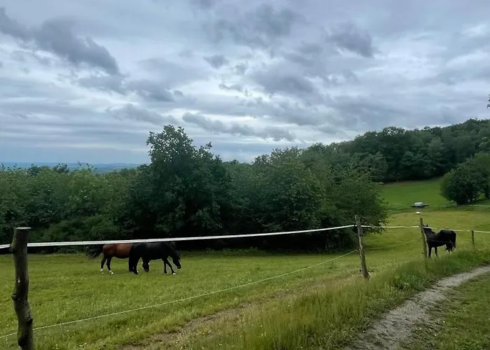 Tronicek בית הארחה Kamenny Privoz