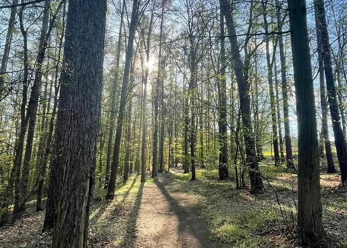 Tronicek בית הארחה 3*